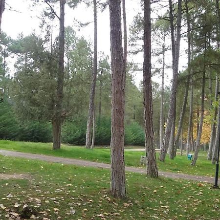 Camping Caravaning Cuenca Куенка Екстериор снимка