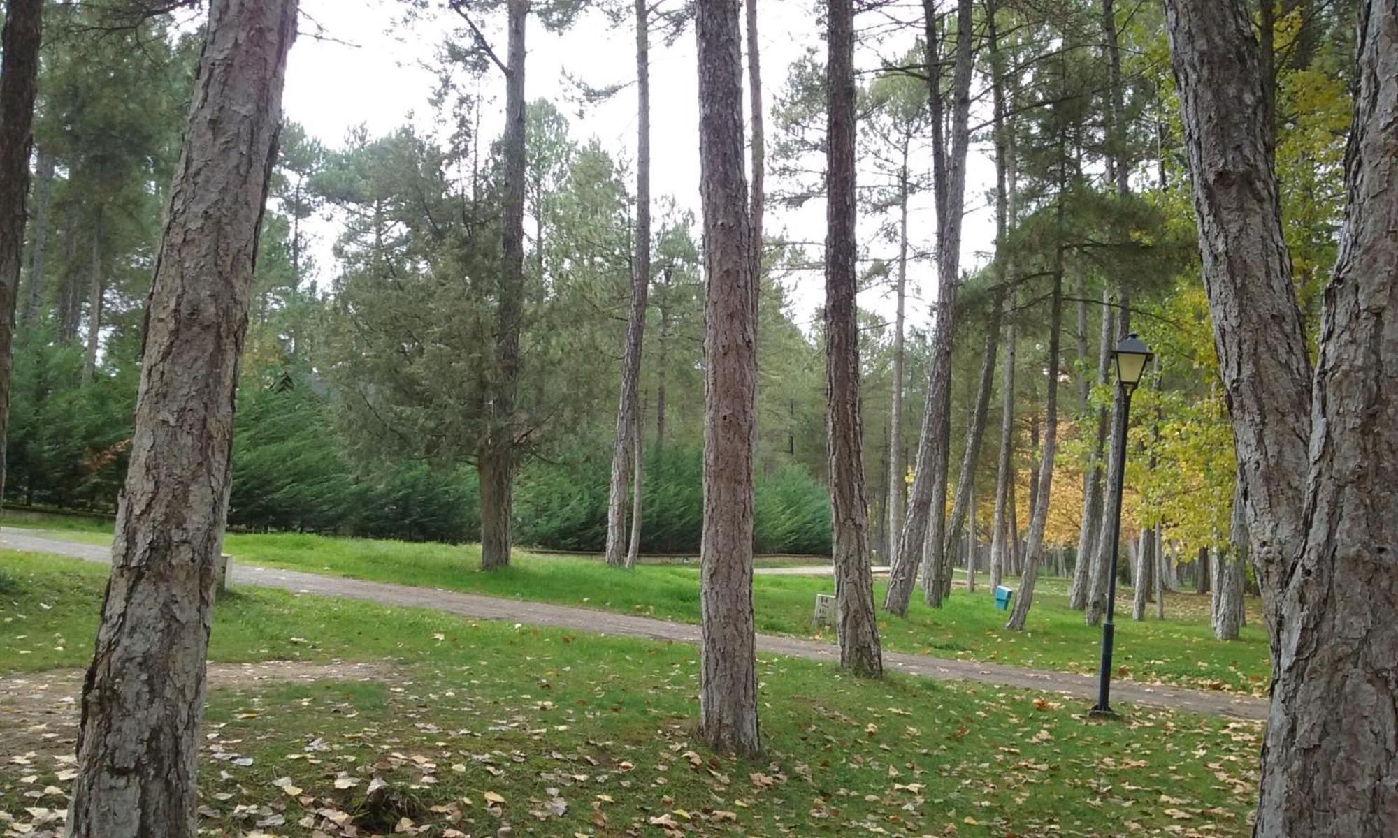 Camping Caravaning Cuenca Куенка Екстериор снимка