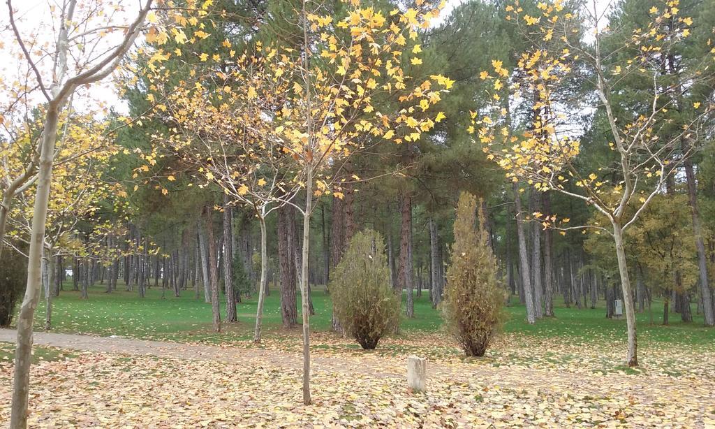 Camping Caravaning Cuenca Куенка Екстериор снимка